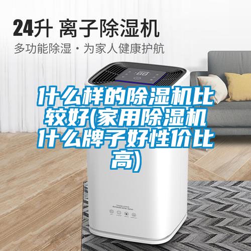 欧美黄色性爱视频网站 什么样的除湿机比较好(家用除湿机什么牌子好性价比高)