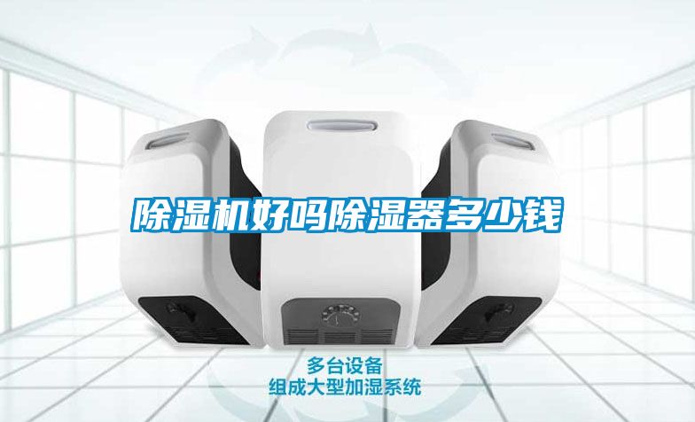 欧美黄色性爱视频网站 除湿机好吗除湿器多少钱
