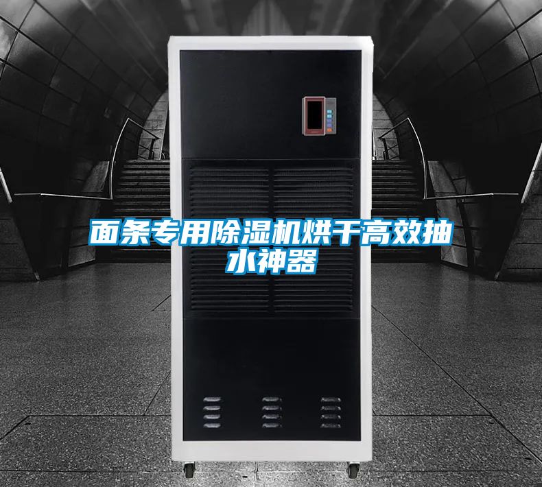 欧美成色手机在线观看 面条专用除湿机烘干高效抽水神器