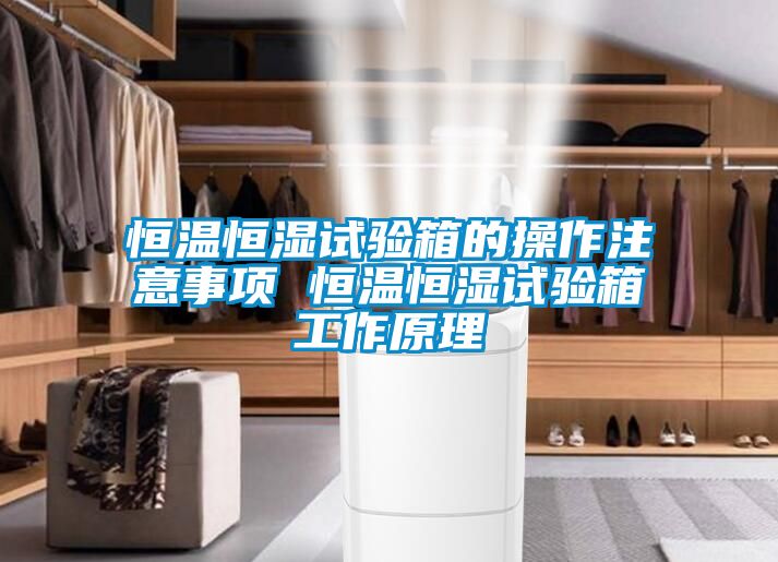 欧美黄色电影在线播放 恒温恒湿试验箱的操作注意事项 恒温恒湿试验箱工作原理