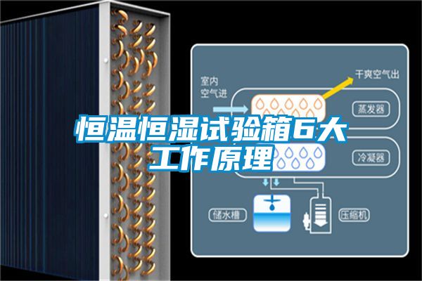 欧美黄色性爱视频网站 恒温恒湿试验箱6大工作原理