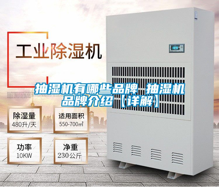 欧美黄色性爱视频网站 抽湿机有哪些品牌 抽湿机品牌介绍【详解】