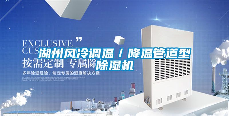 欧美成色手机在线观看 湖州风冷调温／降温管道型除湿机