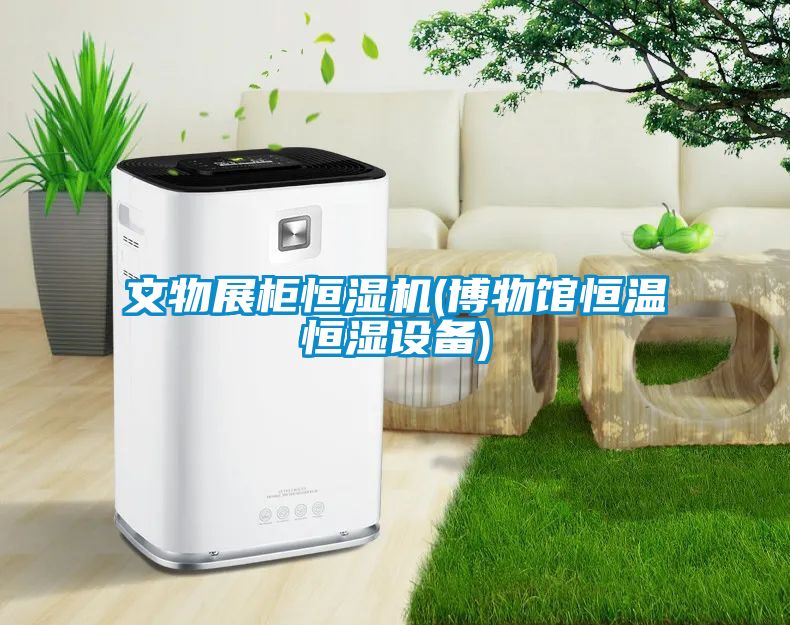 欧美成色手机在线观看 文物展柜恒湿机(博物馆恒温恒湿设备)