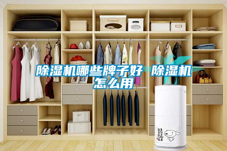 欧美黄色性爱视频网站 除湿机哪些牌子好 除湿机怎么用