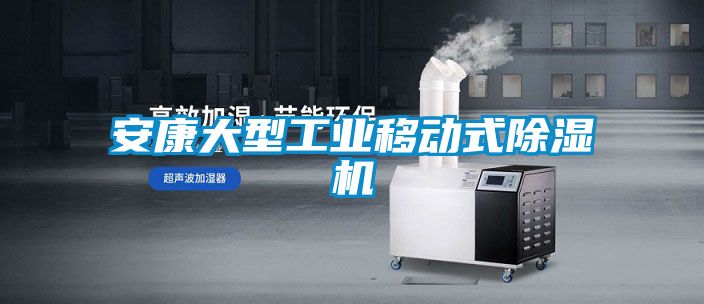 欧美黄色性爱视频网站 安康大型工业移动式除湿机