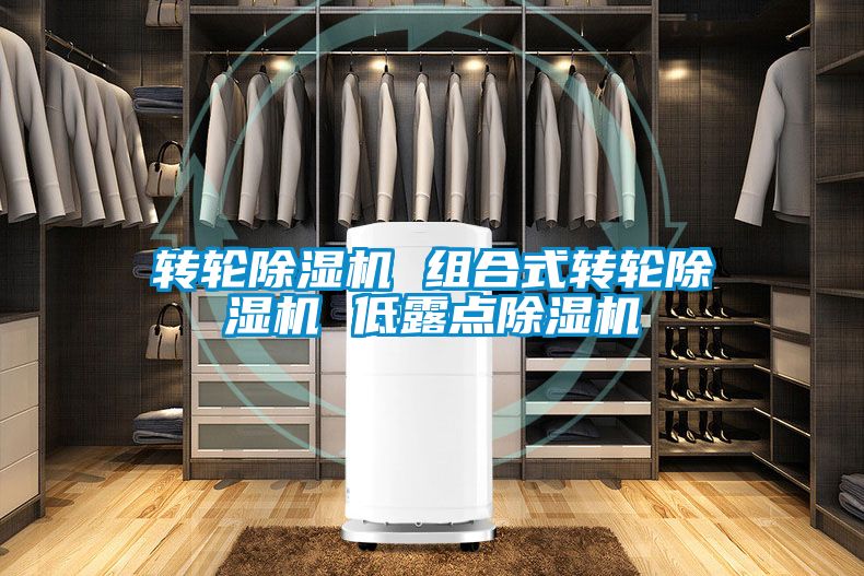 欧美黄色性爱视频网站 转轮除湿机 组合式转轮除湿机 低露点除湿机