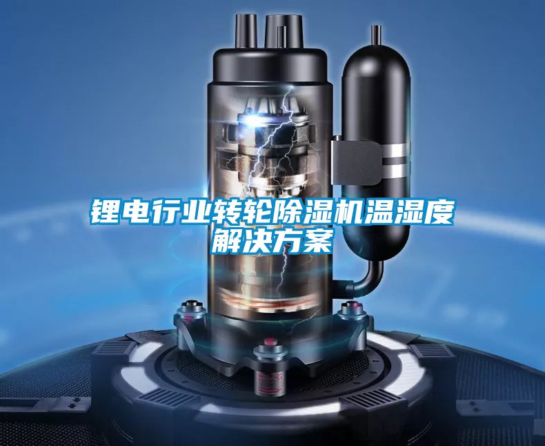 欧美黄色性爱视频网站 锂电行业转轮除湿机温湿度解决方案