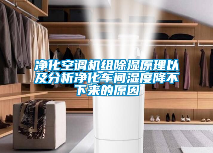 欧美黄色性爱视频网站 净化空调机组除湿原理以及分析净化车间湿度降不下来的原因