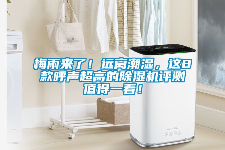 欧美成色手机在线观看 梅雨来了！远离潮湿，这8款呼声超高的除湿机评测值得一看！