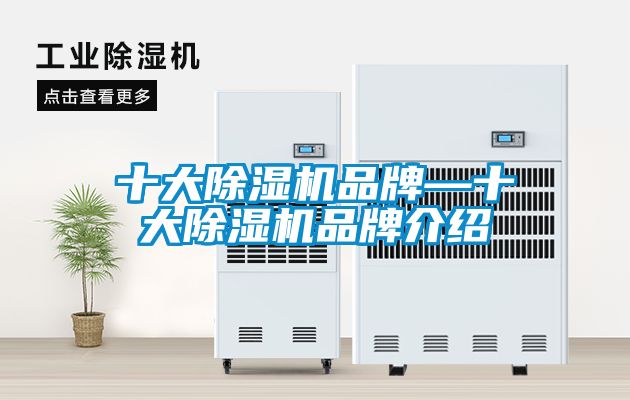欧美成色手机在线观看 十大除湿机品牌—十大除湿机品牌介绍