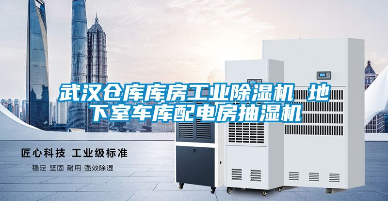 欧美黄色电影在线播放 武汉仓库库房工业除湿机 地下室车库配电房抽湿机
