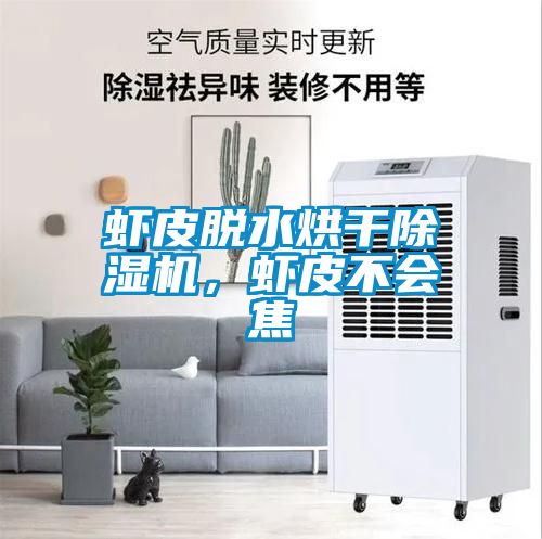 欧美黄色性爱视频网站 虾皮脱水烘干除湿机，虾皮不会焦