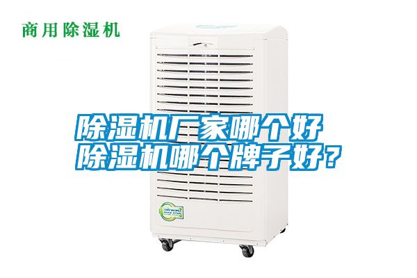 欧美成色手机在线观看 除湿机厂家哪个好 除湿机哪个牌子好？