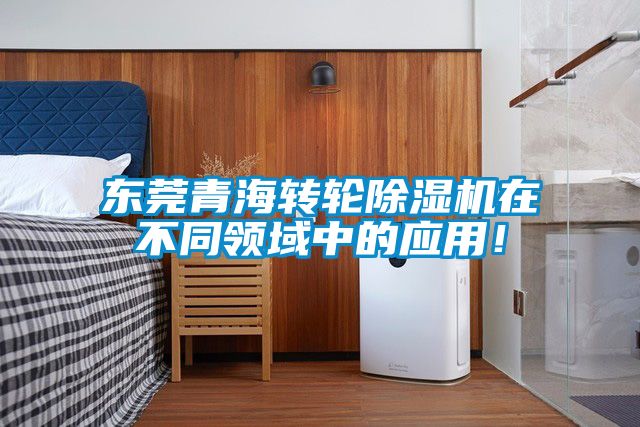 欧美黄色性爱视频网站 东莞青海转轮除湿机在不同领域中的应用！
