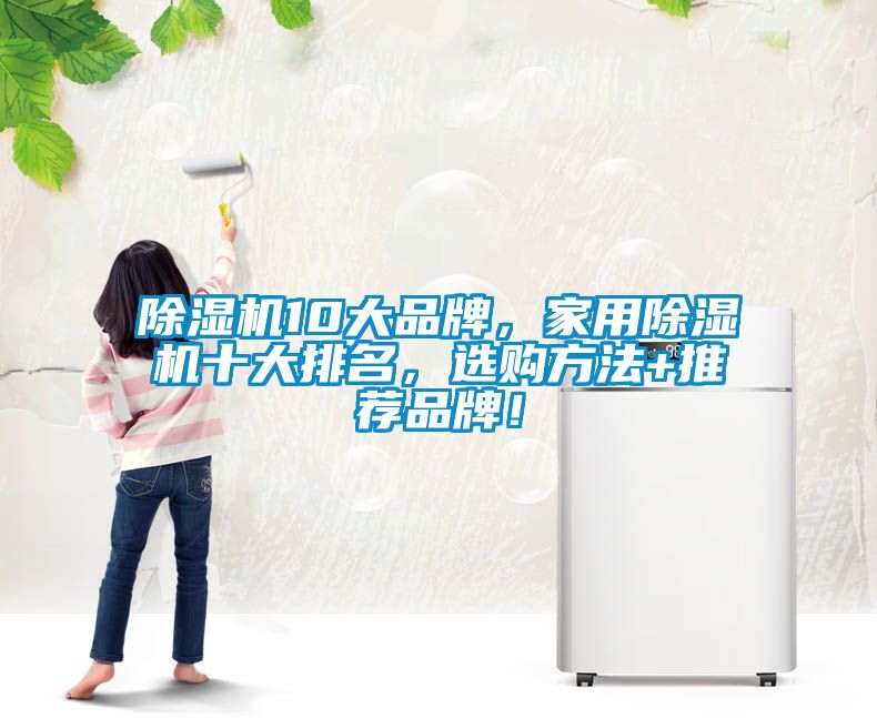 欧美成色手机在线观看 除湿机10大品牌，家用除湿机十大排名，选购方法+推荐品牌！