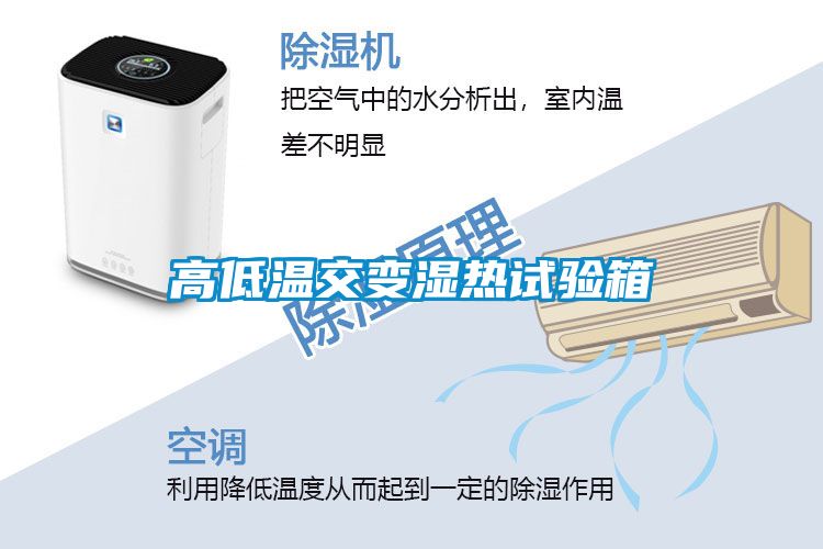 欧美黄色性爱视频网站 高低温交变湿热试验箱