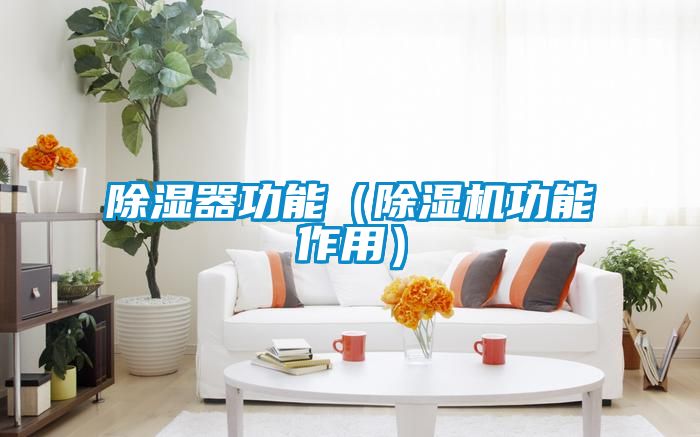 欧美黄色性爱视频网站 除湿器功能（除湿机功能作用）