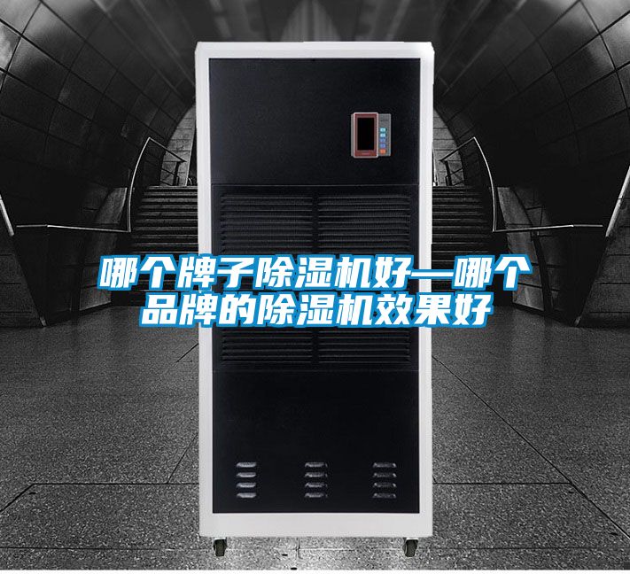 欧美黄色电影在线播放 哪个牌子除湿机好—哪个品牌的除湿机效果好