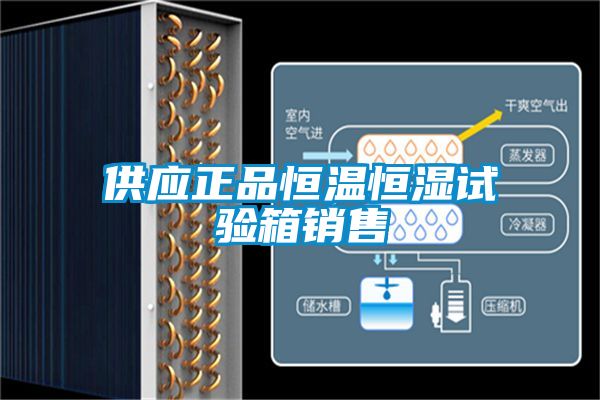 欧美黄色性爱视频网站 供应正品恒温恒湿试验箱销售