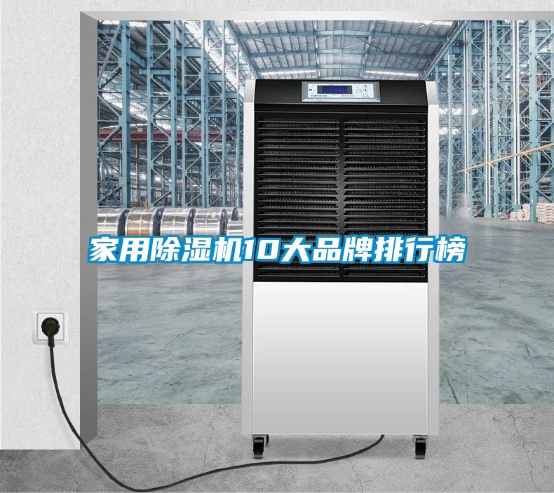欧美黄色性爱视频网站 家用除湿机10大品牌排行榜
