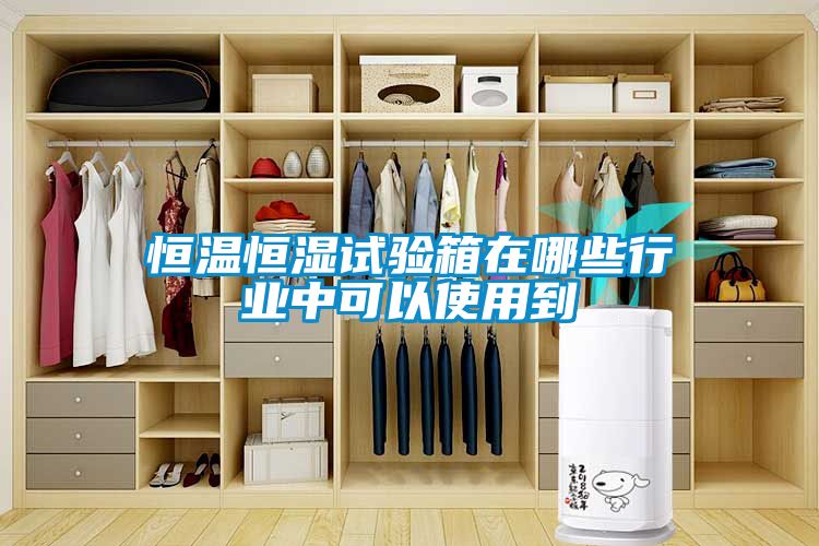 欧美黄色性爱视频网站 恒温恒湿试验箱在哪些行业中可以使用到
