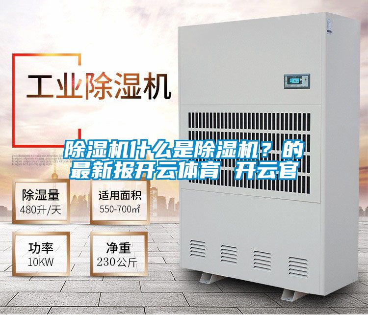 欧美黄色电影在线播放 除湿机什么是除湿机？的最新报开云体育 开云官