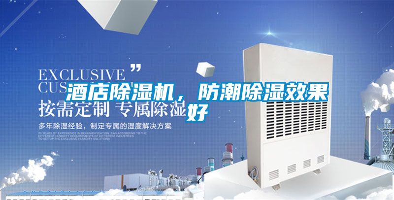 欧美黄色性爱视频网站 酒店除湿机，防潮除湿效果好
