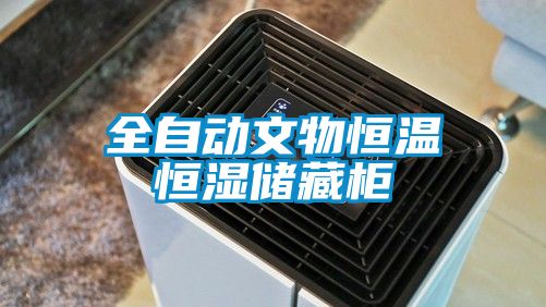 欧美黄色性爱视频网站 全自动文物恒温恒湿储藏柜