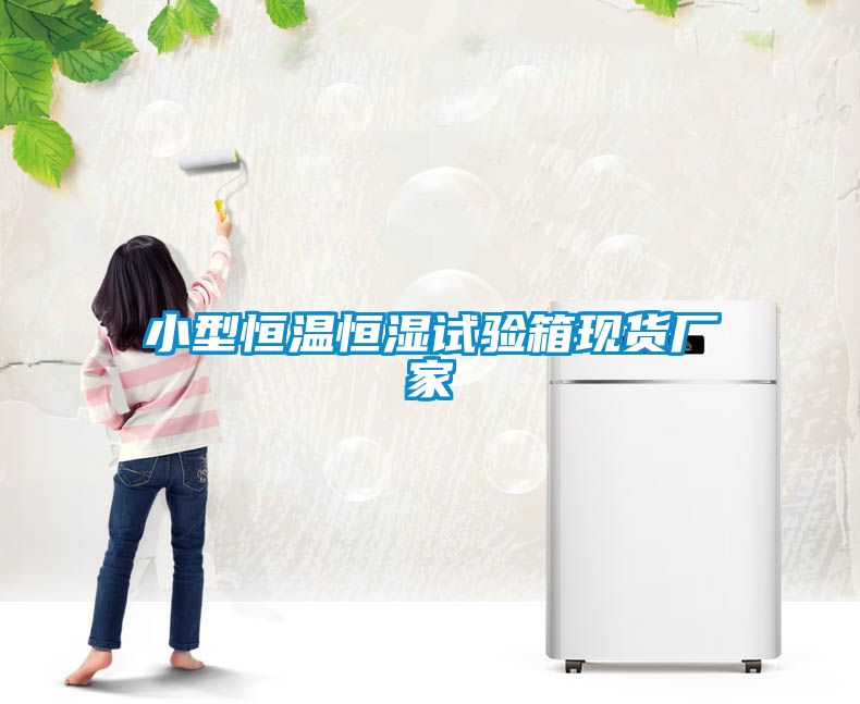 欧美黄色性爱视频网站 小型恒温恒湿试验箱现货厂家