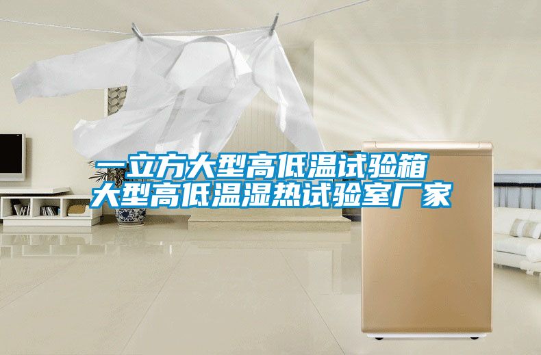 欧美黄色性爱视频网站 一立方大型高低温试验箱 大型高低温湿热试验室厂家