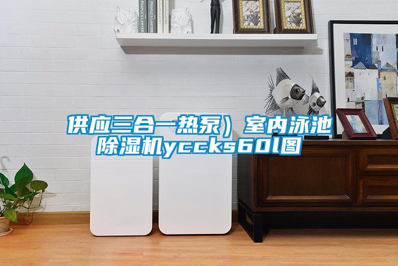 欧美黄色电影在线播放 供应三合一热泵）室内泳池除湿机yccks60l图