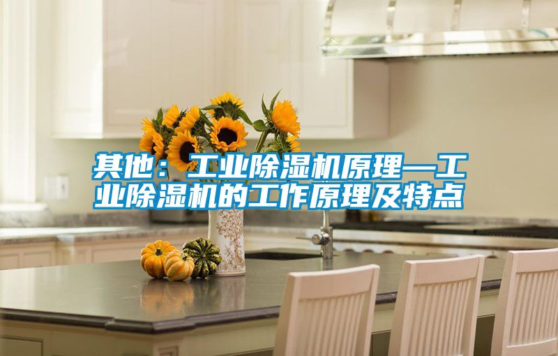 欧美成色手机在线观看 其他：工业除湿机原理—工业除湿机的工作原理及特点