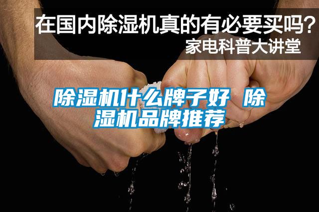 欧美黄色电影在线播放 除湿机什么牌子好 除湿机品牌推荐