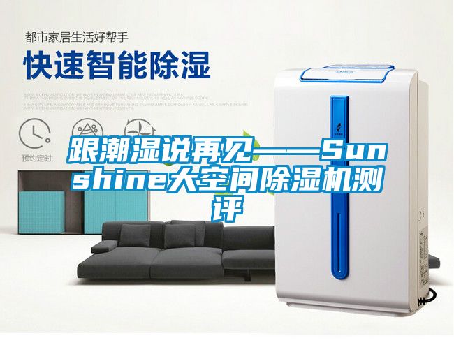 欧美黄色性爱视频网站 跟潮湿说再见——Sunshine大空间除湿机测评