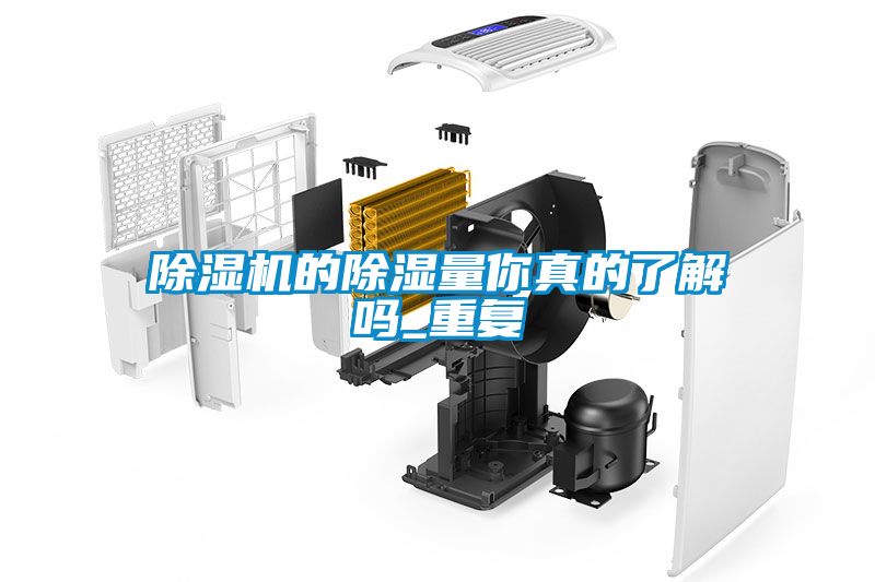 欧美黄色电影在线播放 除湿机的除湿量你真的了解吗_重复