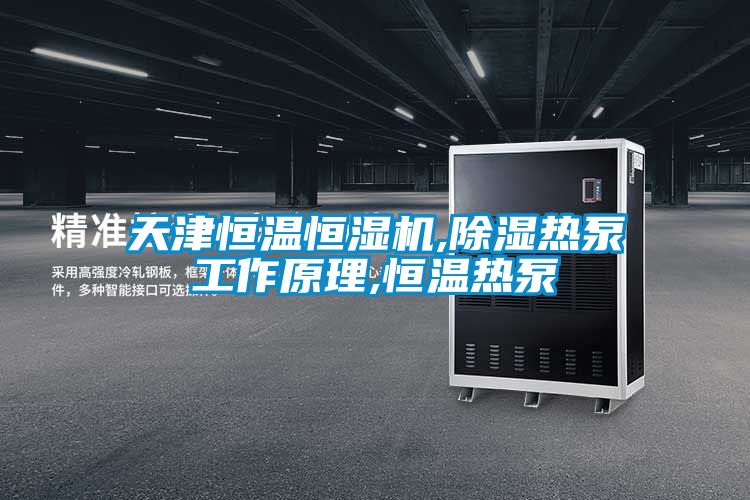 欧美黄色电影在线播放 天津恒温恒湿机,除湿热泵工作原理,恒温热泵