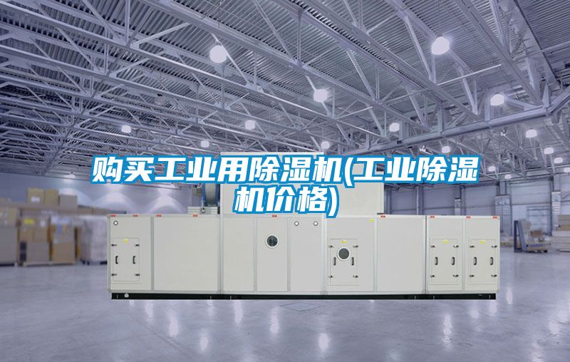 欧美黄色性爱视频网站 购买工业用除湿机(工业除湿机价格)