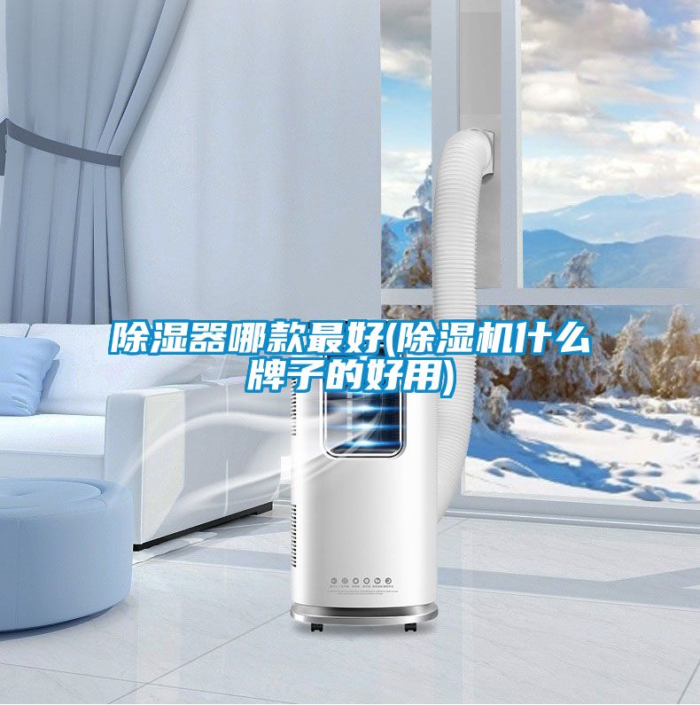 欧美黄色性爱视频网站 除湿器哪款最好(除湿机什么牌子的好用)