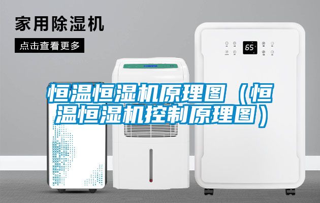 欧美黄色性爱视频网站 恒温恒湿机原理图（恒温恒湿机控制原理图）