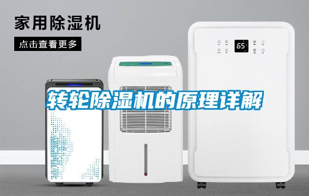 欧美黄色电影在线播放 转轮除湿机的原理详解