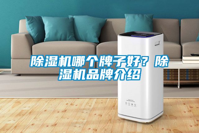 欧美黄色性爱视频网站 除湿机哪个牌子好？除湿机品牌介绍