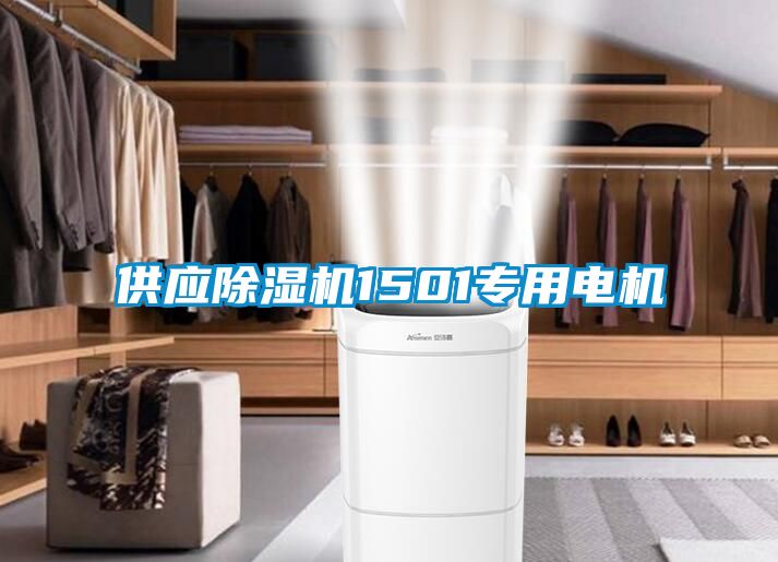 欧美成色手机在线观看 供应除湿机1501专用电机