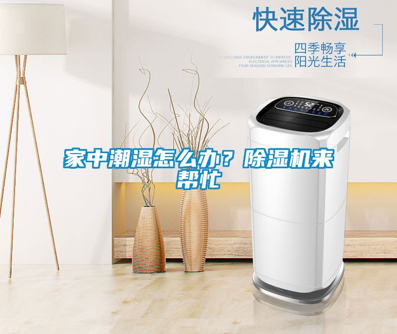 欧美黄色电影在线播放 家中潮湿怎么办？除湿机来帮忙