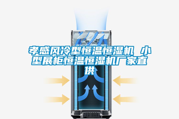 欧美黄色性爱视频网站 孝感风冷型恒温恒湿机 小型展柜恒温恒湿机厂家直供
