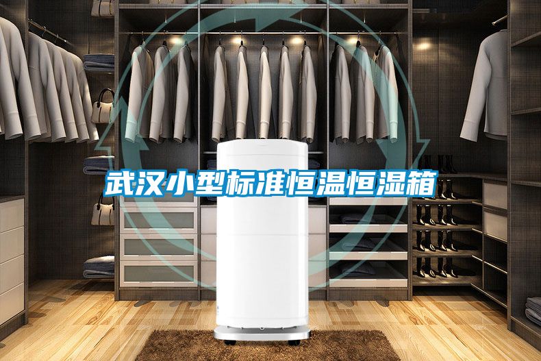 欧美黄色性爱视频网站 武汉小型标准恒温恒湿箱