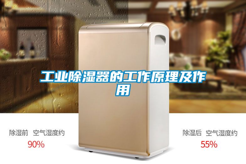 欧美成色手机在线观看 工业除湿器的工作原理及作用