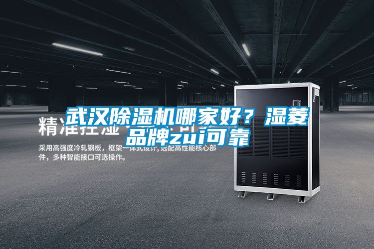 欧美成色手机在线观看 武汉除湿机哪家好？湿菱品牌zui可靠