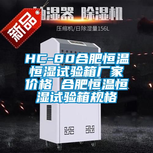欧美成色手机在线观看 HC-80合肥恒温恒湿试验箱厂家价格 合肥恒温恒湿试验箱规格
