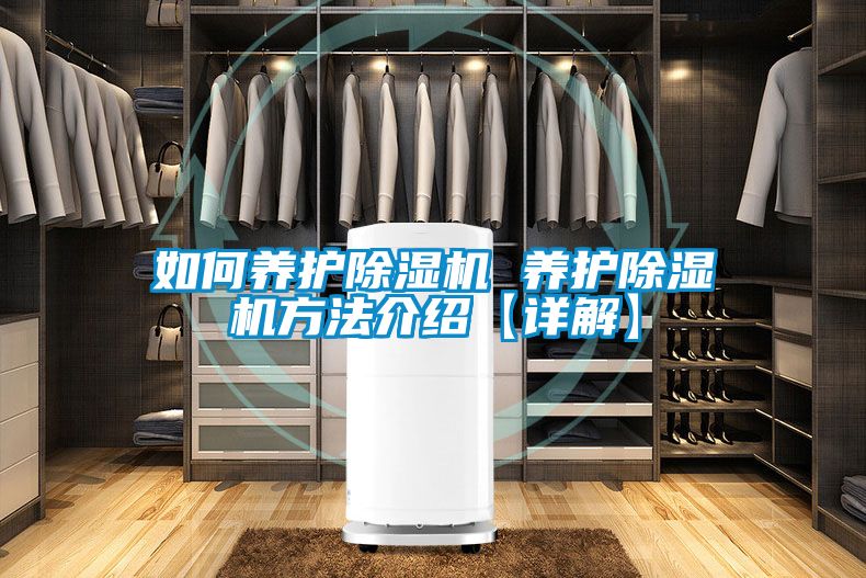 欧美黄色电影在线播放 如何养护除湿机 养护除湿机方法介绍【详解】